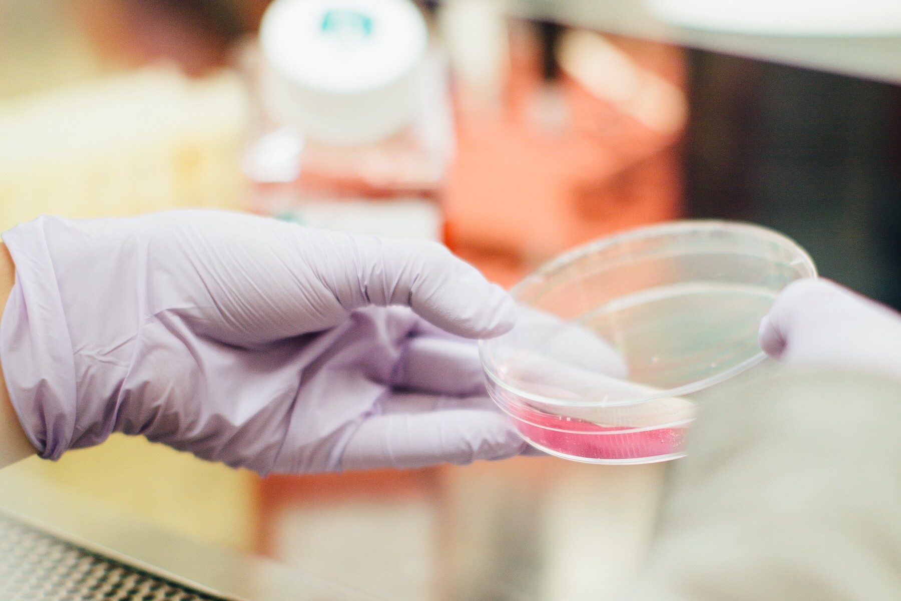 Scientist holding petri dish