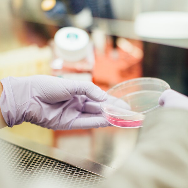 Scientist holding petri dish